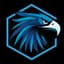 GUARD HAWK INVEST